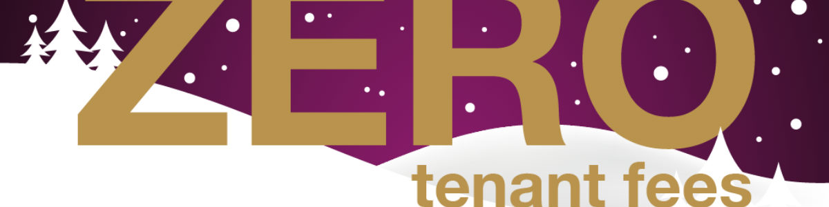 Zero Tenant Fees During December
